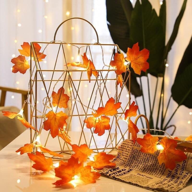10 ft string 20 maple leaf